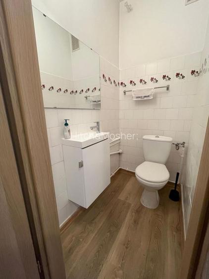 Apartament de inchiriat cu 3 camere langa Parcul Botanic - 23