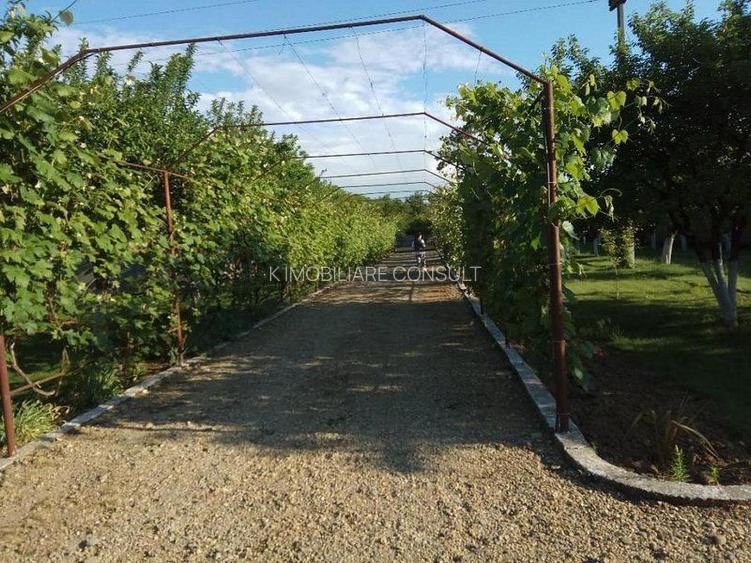 Ciopani vila 5 camere teren 4000 mp - 9