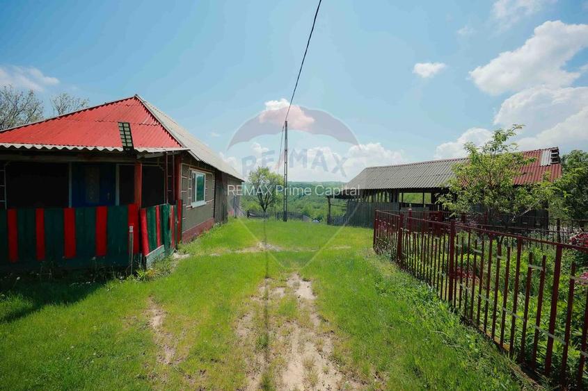 De vânzare casă cu teren și pădure 55706 mp - Șinteu, Valea Târnei - 14