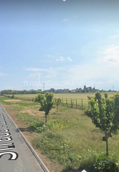 Loturi teren, Agigea-Eforie Nord - 2