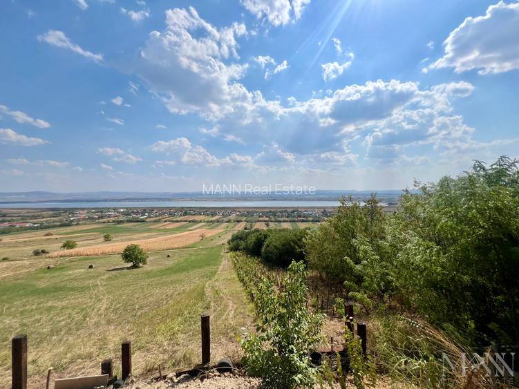 Pivnita + parcela de vie | de vanzare | Uileacu de Cris, Bihor - 5