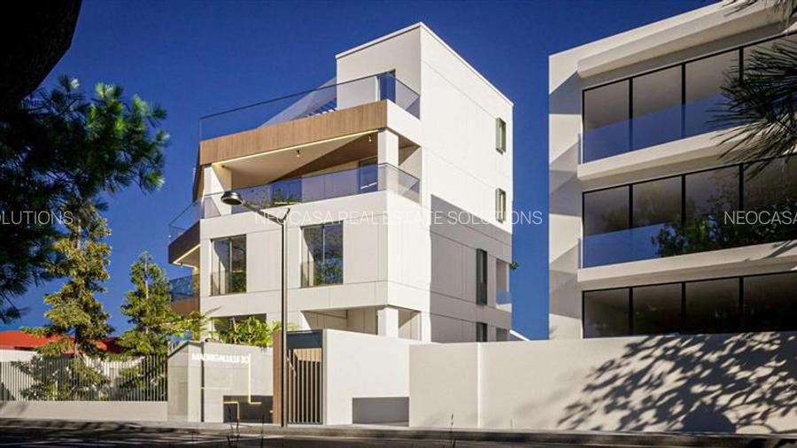 PENTHOUSE DUPLEX // LAKE VIEW - 3