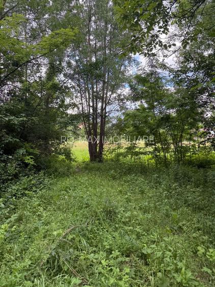 Teren intravilan 683 mp deschidere la strada asfaltata ! - 19