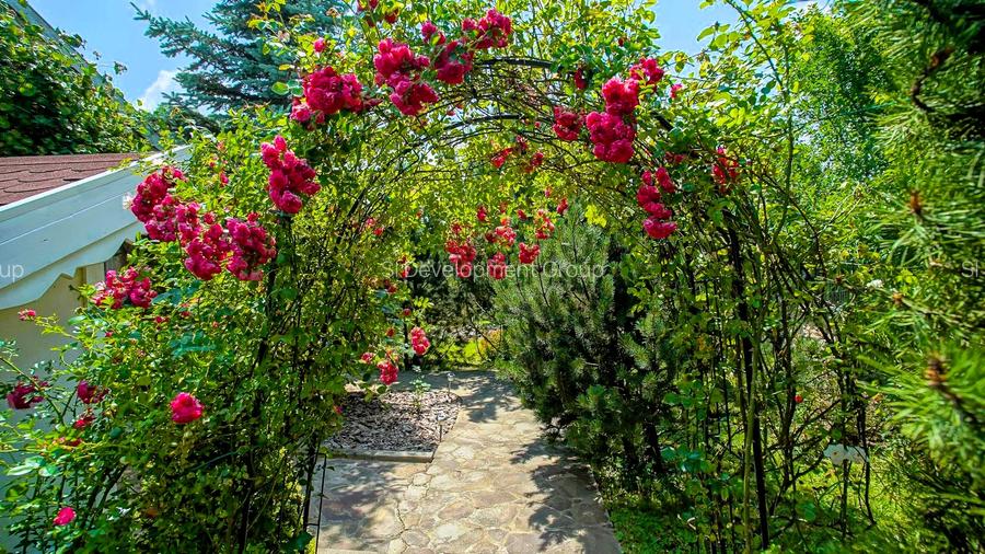 Proprietate unică pe malul lacului Moacșa – liniște, rafinament, eleganta - 54