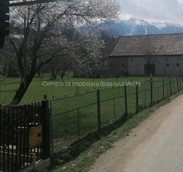 Teren intravilan parcele 1.500 mp Sohodol - Bran. - 3