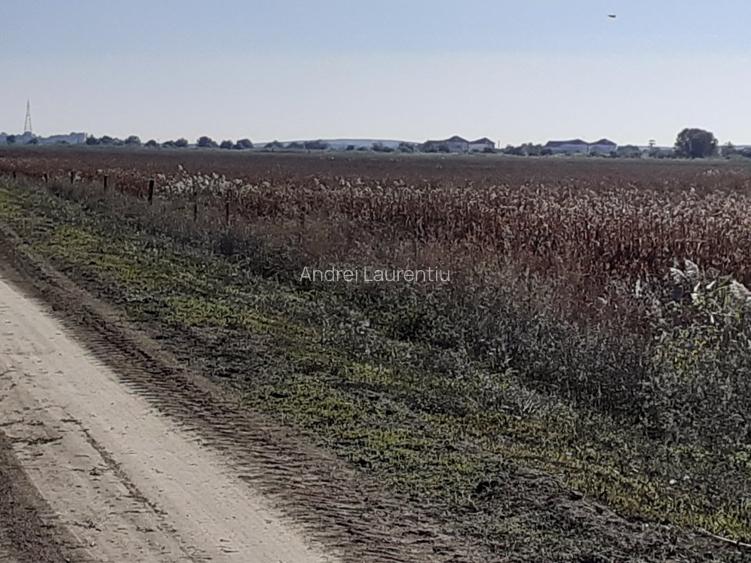 OCAZIE : INTRAVILAN com. MURIGHIOL - 19 euro/m.p. Deschidere Dunare  74 m. - 9