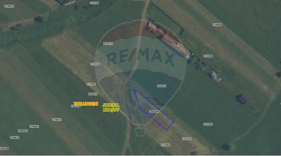 Teren Intravilan 611 mp – Tărlungeni, vedere panoramică