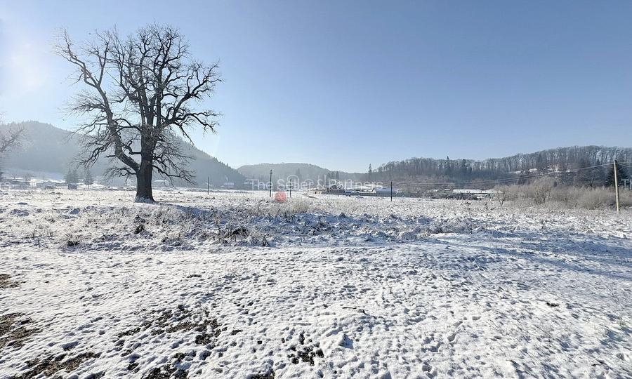 Teren intravilan - 25