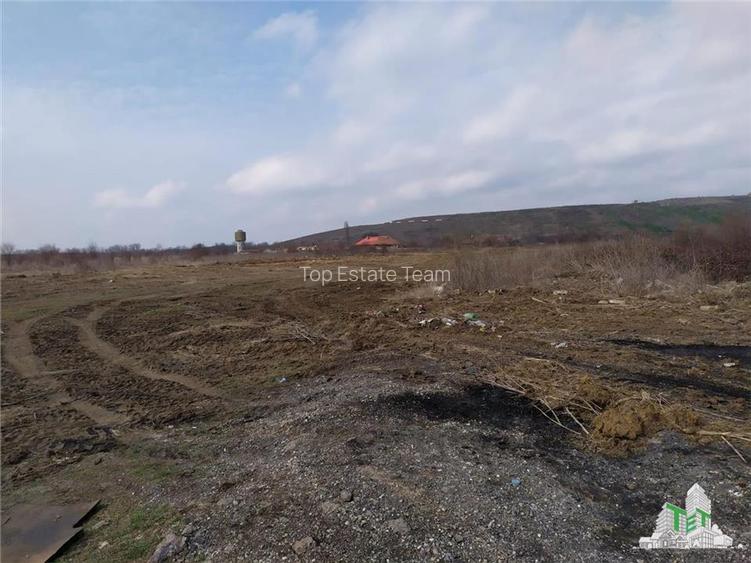 Teren intravilan de vanzare 28.200 mp Bucuresti Sector 6 - 11