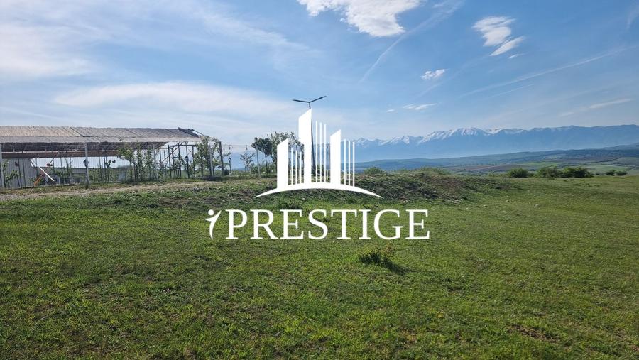TEREN  EXTRAVILAN 2000 MP ÎN DAIA - BAVARIA | DEALUL 2 | DOAR 15€/MP - 29