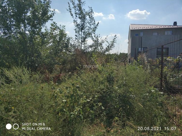 teren strada pasarani 70 colentina 1096mp - 4