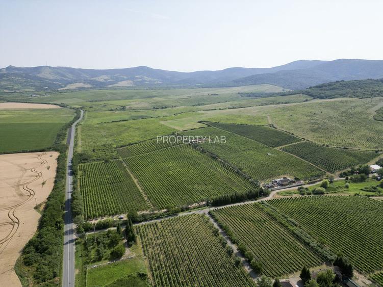 Vie Tradițională „Halta Lupilor” - 28