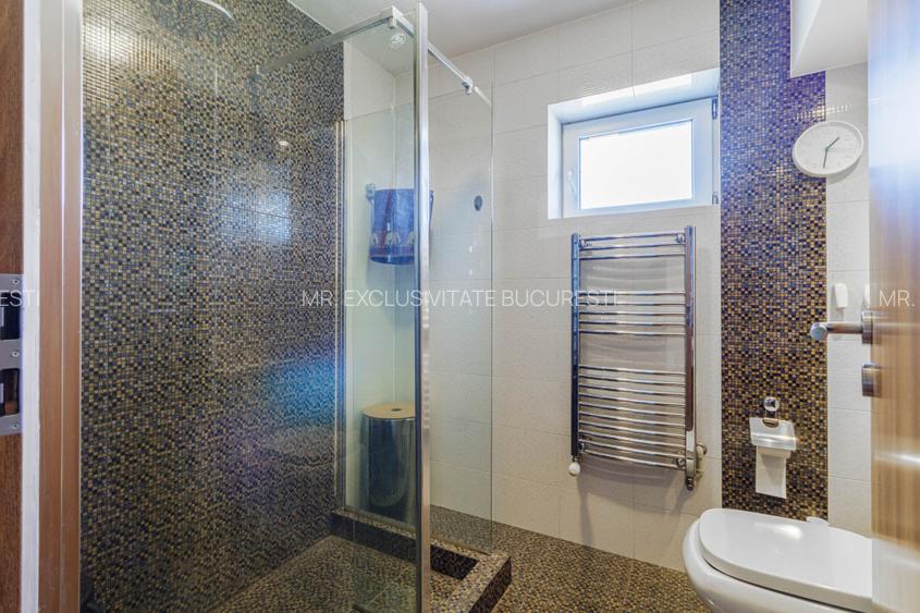 Cladire moderna, versatila, cu terasa panoramica – locuinta sau business | Secto - 9