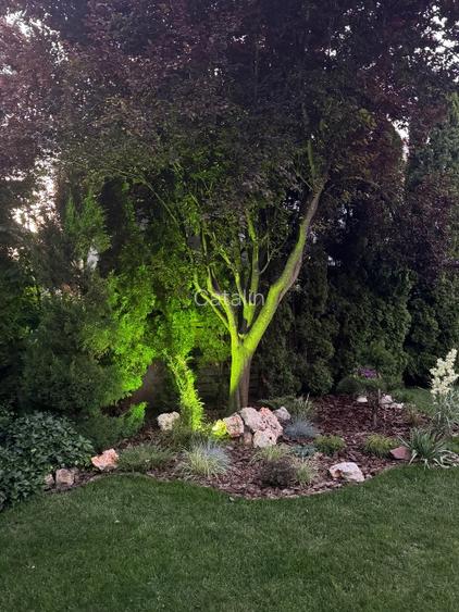 Casă de vânzare P+M i cartierul Alfa Land - 2