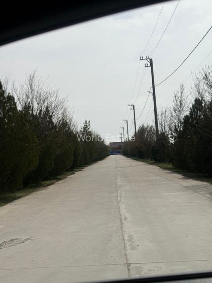 OCAZIE! TEREN IDEAL PENTRU BLOCURI CU REGIM MIC DE INALTIME/ VILE/DUPLEXURI - 6