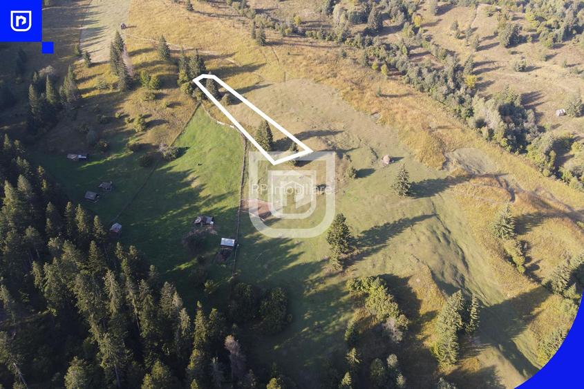 Teren situat in Frasin | BUCOVINA - 6