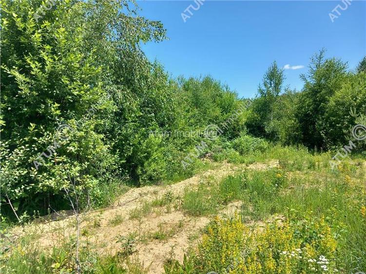 Teren intravilan 3900 mp Porumbacu de Sus, Sibiu - 15