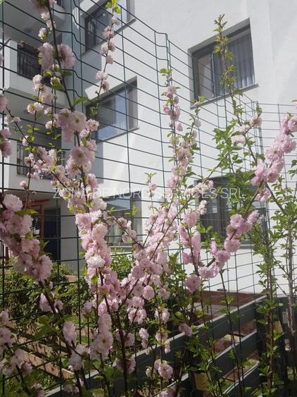 BANEASA-GREENFIELD, un apartament deosebit, generos, terasa 25mp si parcare - 17