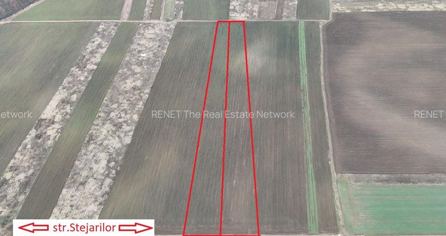 SABARENI, LOT 10.000 MP! - 2