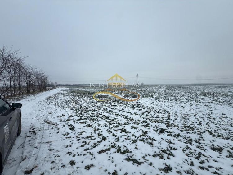 Teren agricol extravilan in Itesti de vanzare - 6