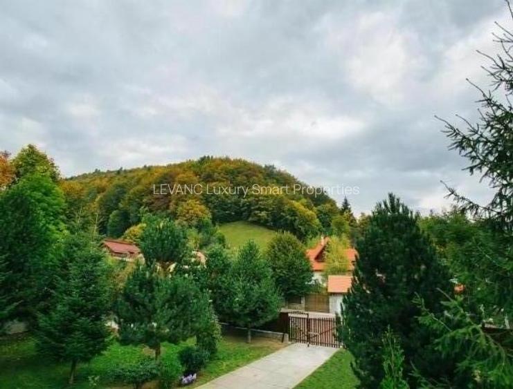 PENSIUNE 12 CAMERE - ELEGANTA SI CONFORT - 2