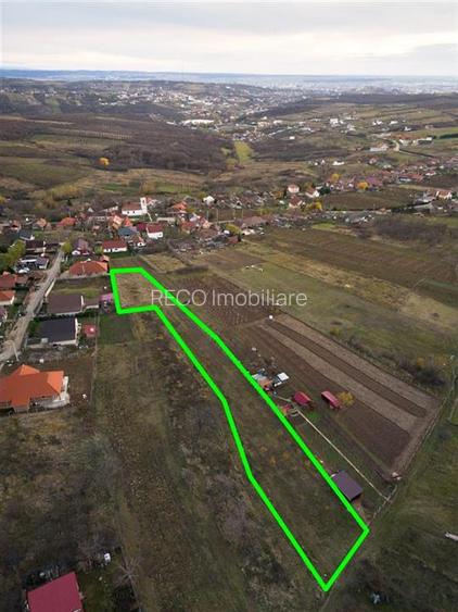 RECO . Teren intravilan Saldabagiu de munte . - 8