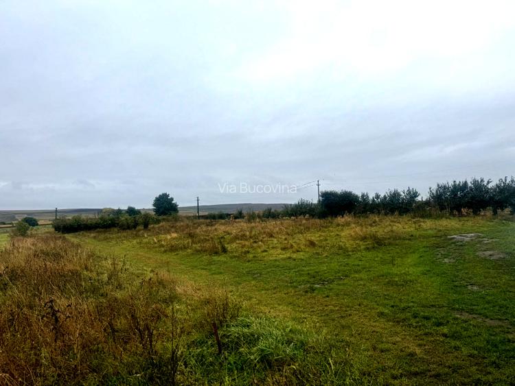 Vanzare 10.000 mp teren Liteni Suceava- la strada -potrivit proiect fonduri - 16
