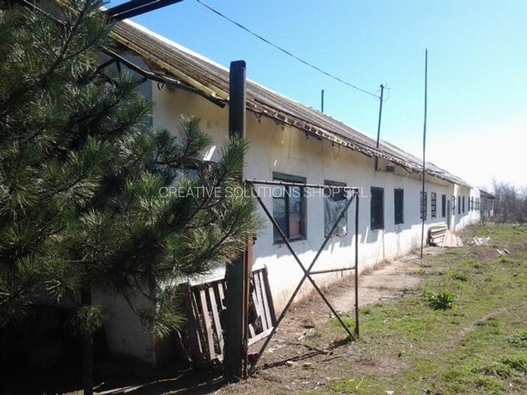 Teren intravilan Mogosesti | Giurgiu | 370.000mp | Adunatii Copaceni - 15