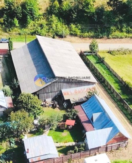 CASA + HALĂ  comuna ALEXANDRU cel BUN - 9