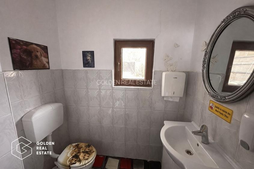 Spatiu comercial, 250 mp, pretabil loc joaca copii, zona Boul Rosu - 12