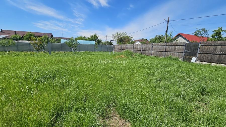DUMBRAVA - 1219 mp Teren ideal casă – asfalt, utilități - 2