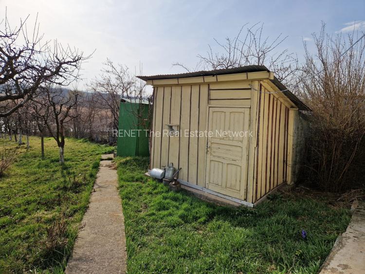 Teren - Roman  -Trifesti - ieșire la lac - livada pe rod - 10