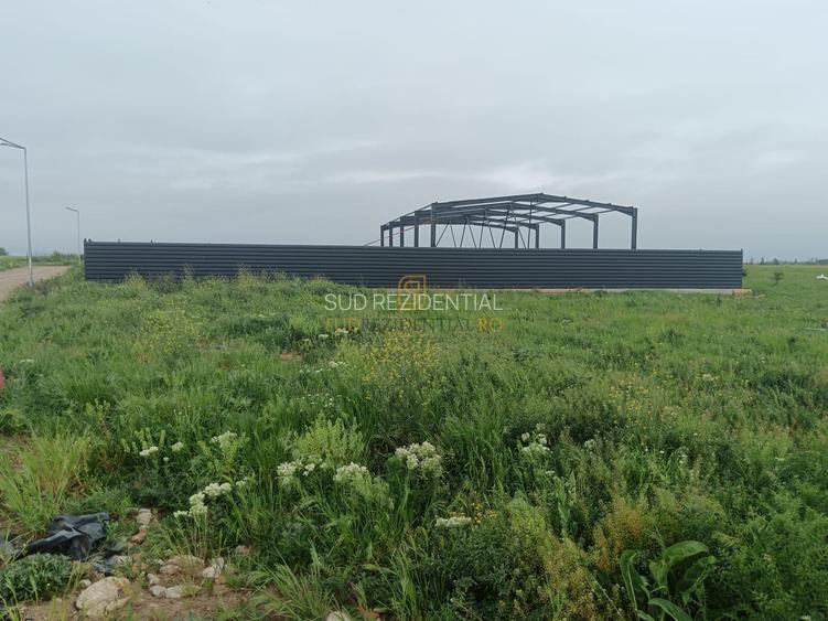 Lot de teren in Frumusani, Ilfov, 590 mp. Posibilitate rate - 5