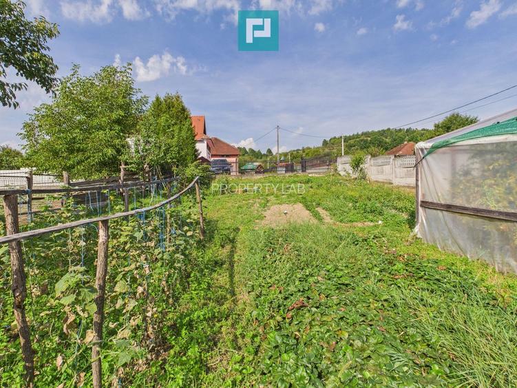 Casă și centru comercial, în localitatea Lazuri - 13