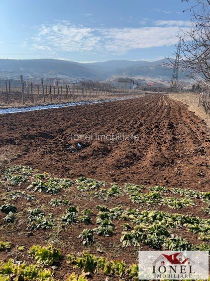 Casa de vanzare in Alba Iulia -2100 mp teren - 7