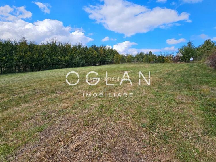 Teren Tocile (parcelabil) 3500 mp  - 11