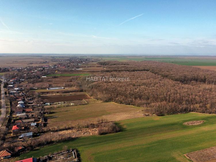 Ferma si livada de meri in judetul Ilfov - 16