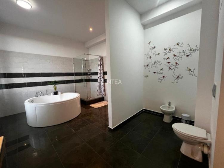 INCHIRIERE PENTHOUSE LUX ALEEA PRIVIGHETORILOR  - 10