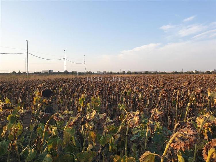Teren intravilan zona Borsului - 14