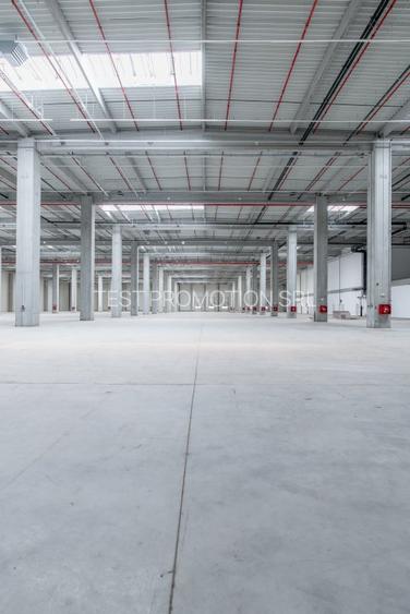 Spațiu industrial, 249500 mp în Chitila - 4