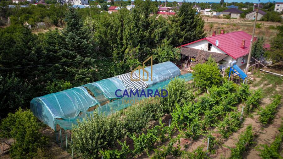 Casa - hala si teren de 9000 mp - ideal investitie - Fundeni/Calarasi - 8