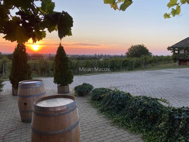 Proprietate istorică , crama +vie DOC + distilerie +loc. evenimente+ 20000 vin - 7