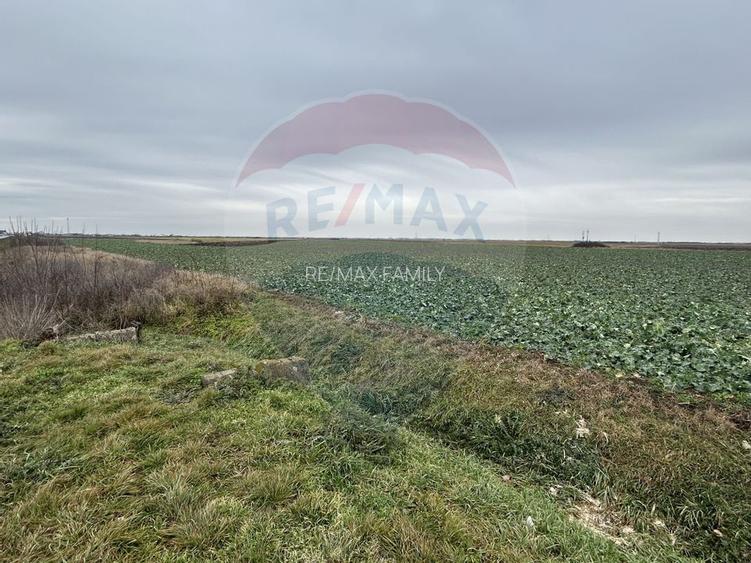 Teren intravilan 80500mp. aproape de nodul rutier de pe DX Oradea-Arad - 5