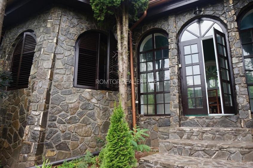 Campina Valea Doftanei Sotrile Paltinu - 12