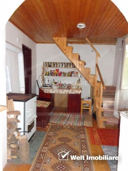 1.6 ha de padure cu poienita, parau la limita curtii, cabana pentru trei familii - 8