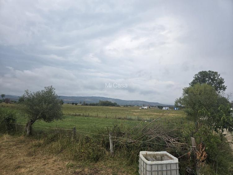 Teren intravilan RASNOV - 6