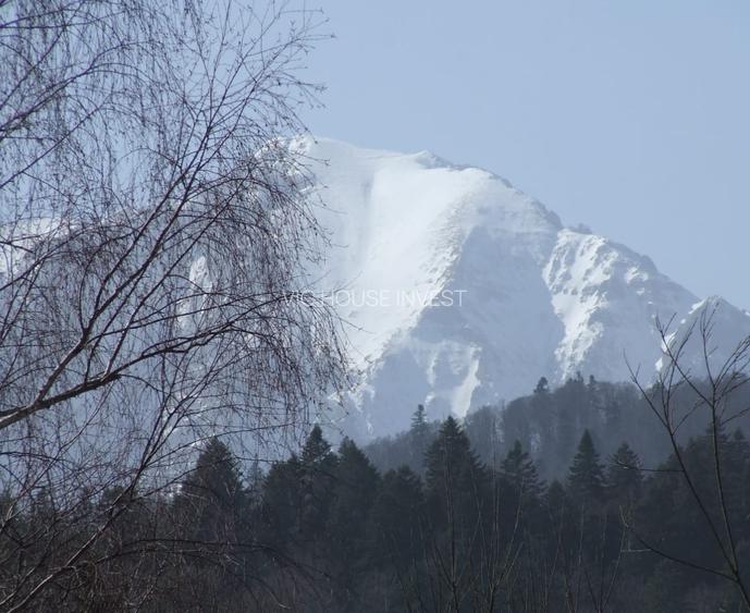 Teren Cioplea Predeal - 3