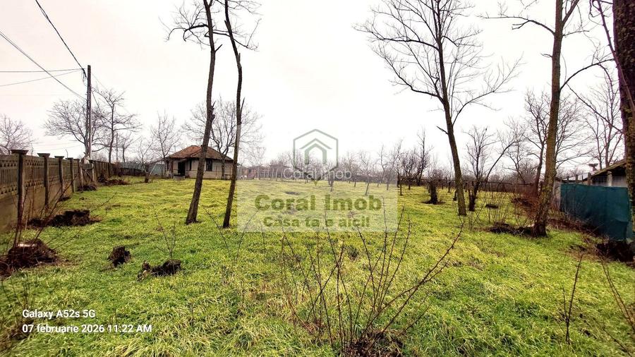 Vanzare casa de paianta la 10 km de Urziceni, Ialomita - 19