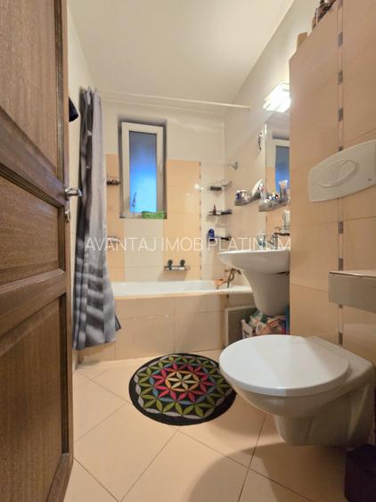 Baba Novac, apropiere Parc IOR si Mall Park Lake - 10