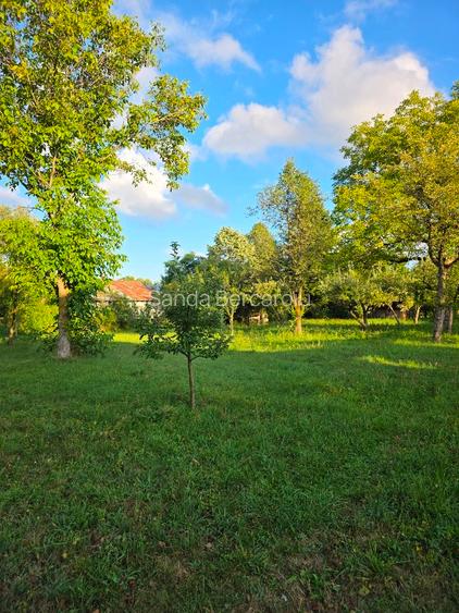 Teren 2500 mp – POTENȚIAL BUSINESS / DEZVOLTARE – Breaza - 14